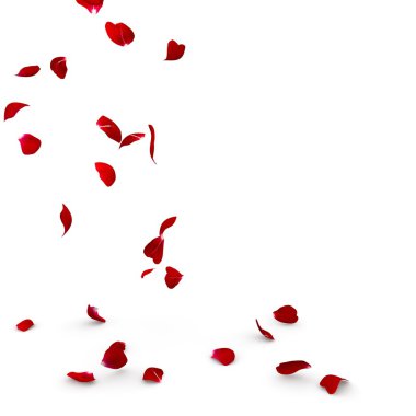 Gül yaprakları yere düşmek