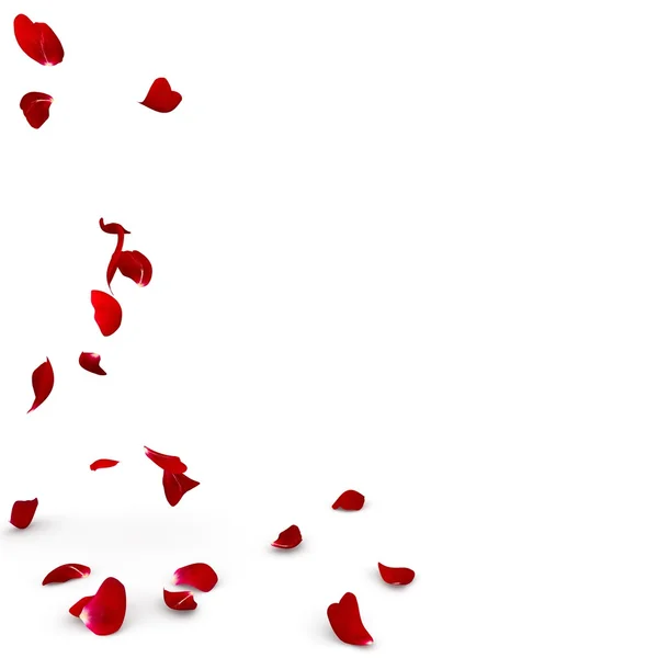 Rose petals fall to the floor — Stock Photo, Image