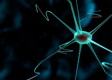 bir sinir hücresi 3D çizimi