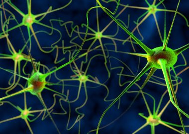 bir sinir hücresi 3D çizimi