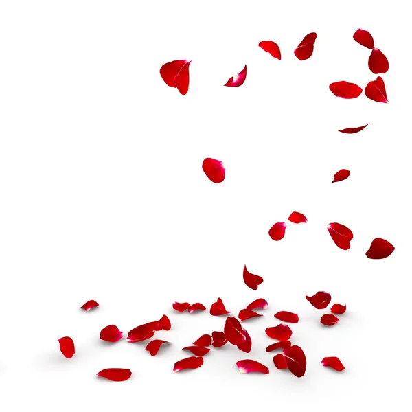 Rose petals fall to the floor — Stock Photo, Image