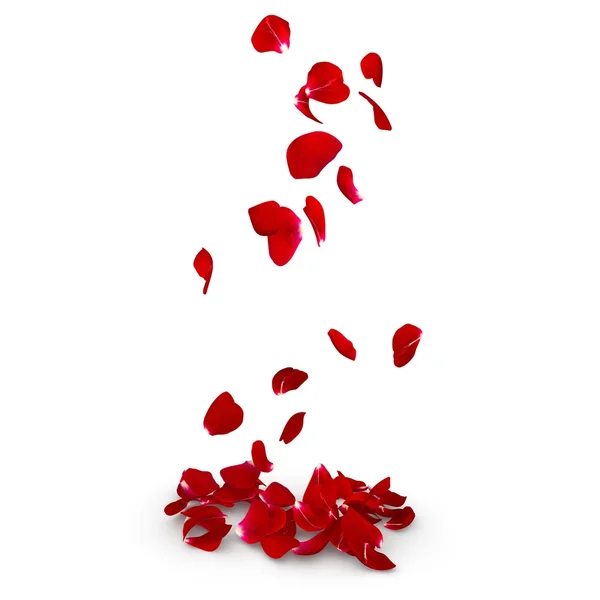 Rose petals fall to the floor — Stock Photo, Image