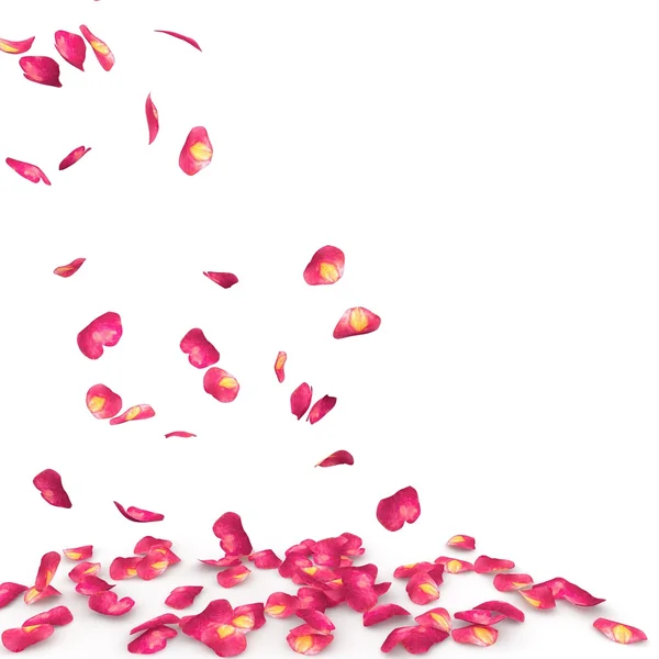 Gül yaprakları benekli yere düşmek