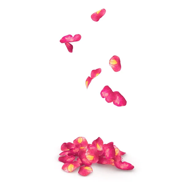 Розовые лепестки с крапинами падают на пол — стоковое фото