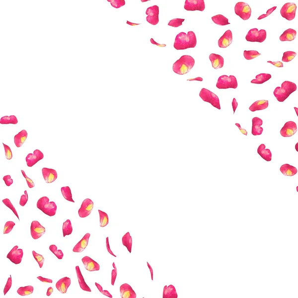 Cartão postal das pétalas de rosa voadoras — Fotografia de Stock