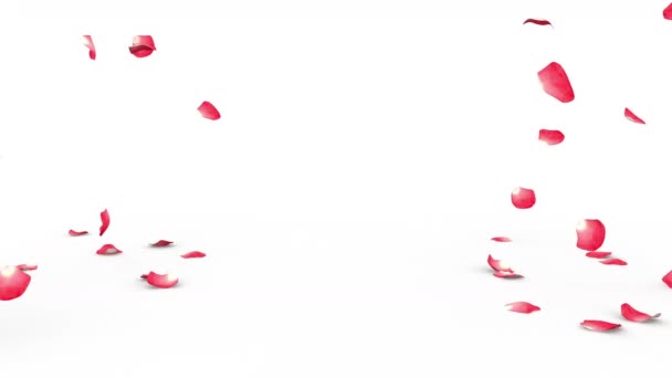 Pétalos de rosa roja volando en el suelo por ambos lados. Máscara alfa incluida — Vídeos de Stock