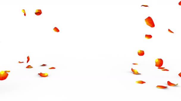 Pétales de rose orange volant sur le sol des deux côtés. Masque alpha inclus — Video