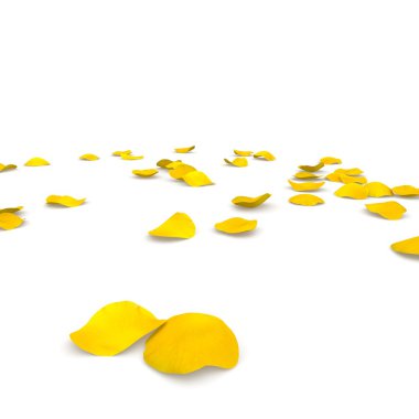 Sarı gül yaprakları yere uçan