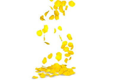 Sarı gül yaprakları yere uçan