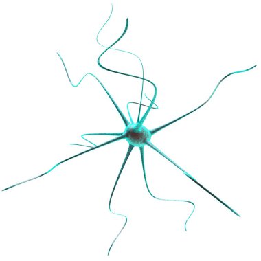 Nerve cell in the human body. Macro scale. 3D illustration clipart