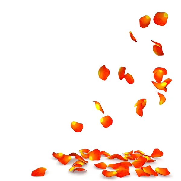 Pétalos de rosa naranja volando en el suelo — Foto de Stock
