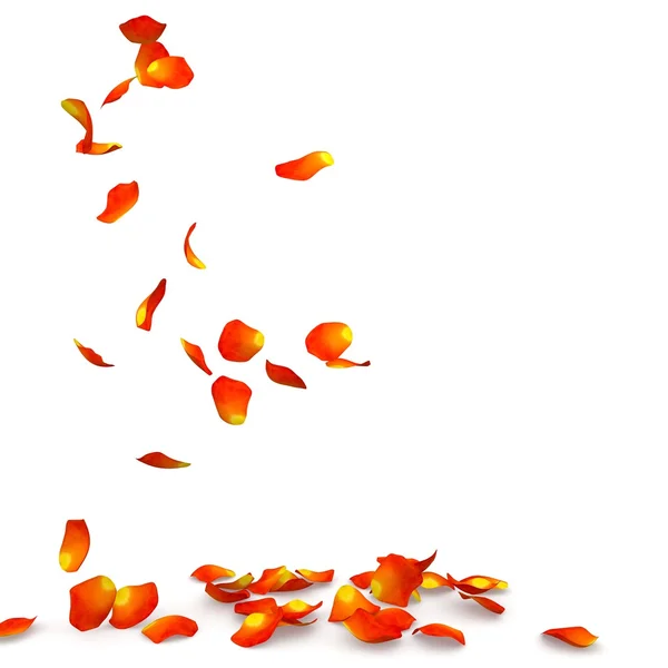 Помаранчеві пелюстки троянд летять на підлозі — стокове фото