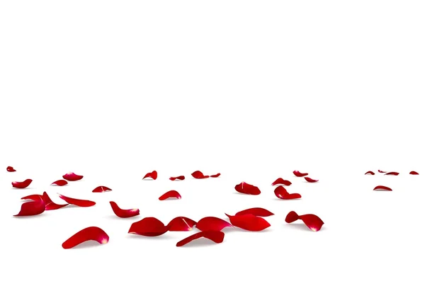 Red rose petals scattered on the floor — Stock Photo, Image