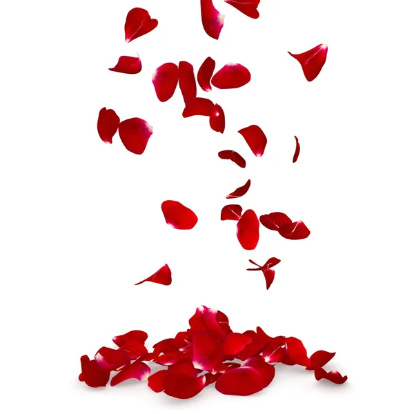 Rose petals fall to the floor — Stock Photo, Image