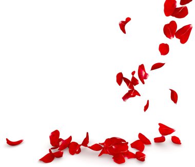 Gül yaprakları yere düşmek