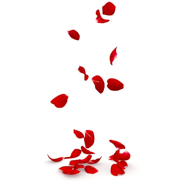 Rose petals fall to the floor — Stock Photo, Image