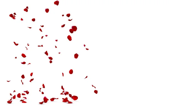 Пелюстки Червоної Троянди Падають Підлогу Тлі Розмитих Пелюсток Русі Білий — стокове фото