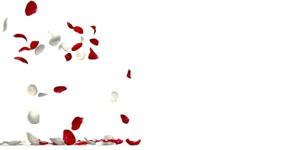 Κόκκινα Και Λευκά Ροδοπέταλα Πετούν Από Πλάι Και Πέφτουν Στο Φωτογραφία Αρχείου