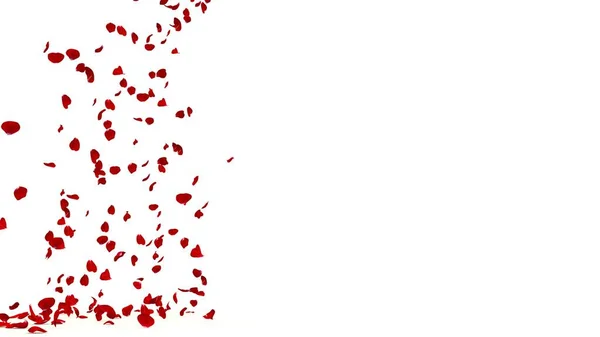 Pétalos Rosa Roja Vuelan Desde Lado Caen Suelo Formato Banner —  Fotos de Stock