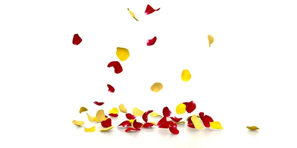 Yellow Red Rose Petals Fall Beautifully Reflective White Floor Festive — Stock Photo, Image