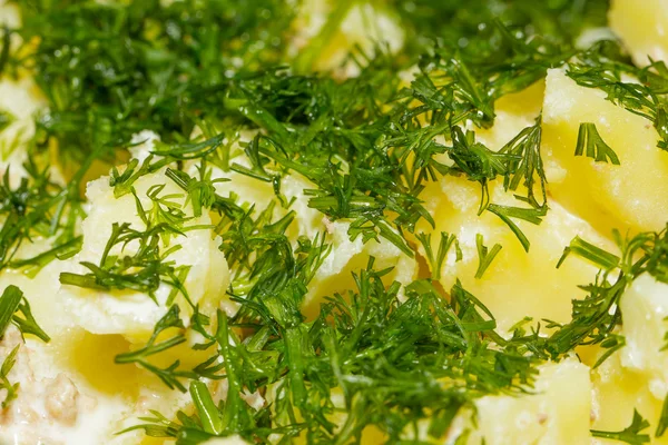 Boiled potatoes with dill — Stock Photo, Image