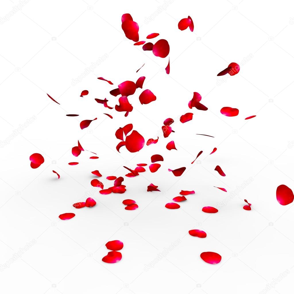 Rose petals falling on a surface