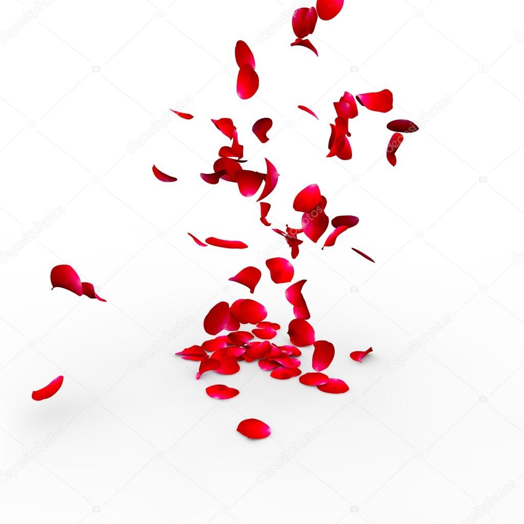 Rose petals falling on a surface