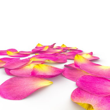 gül yaprakları bir yere düşmek