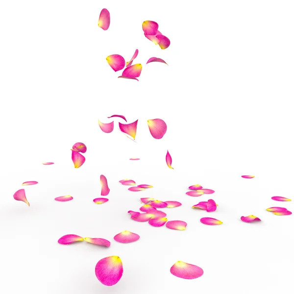 Rose petals fall to the floor — Stock Photo, Image