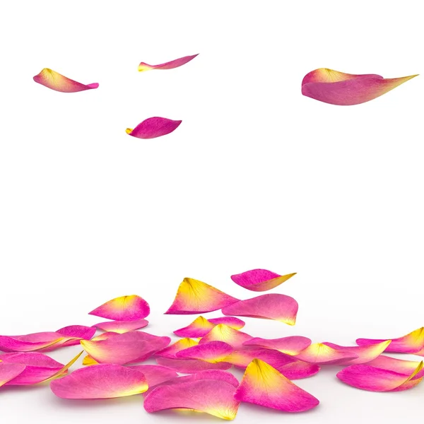 Petali di rose cadono su un piano — Foto Stock