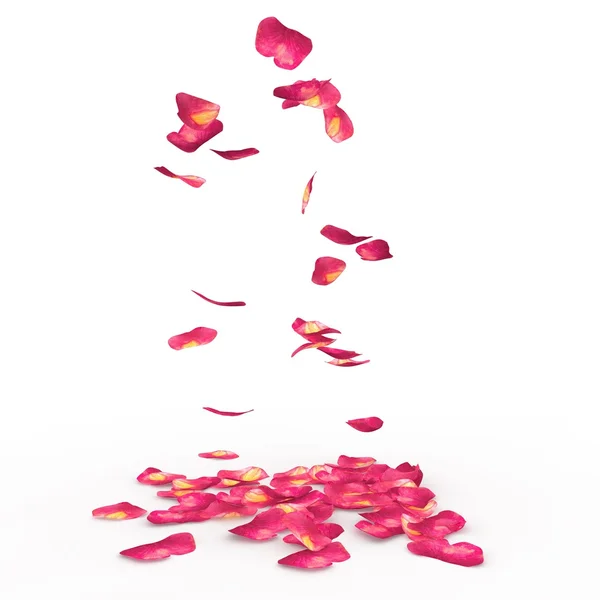 Pétalas de rosa caem no chão — Fotografia de Stock