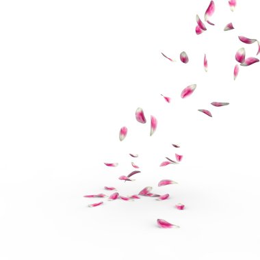 Lale yaprakları yere düşmek