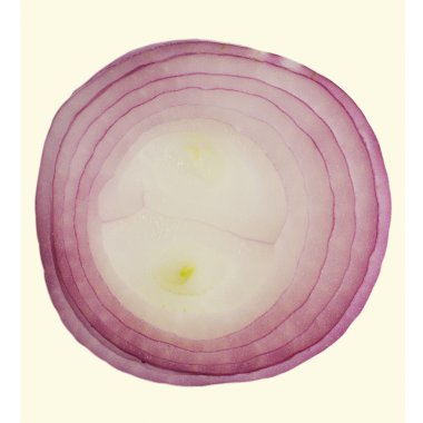 Makro ölçekte mavi soğan dilimi