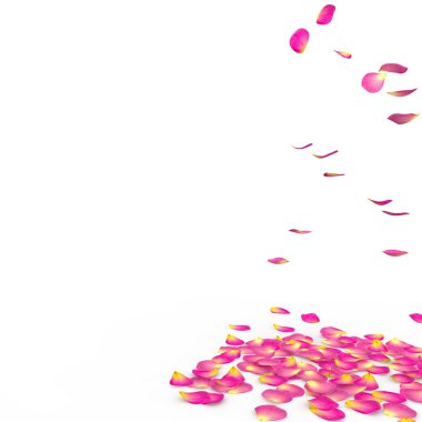 Gül yaprakları yere düşmek