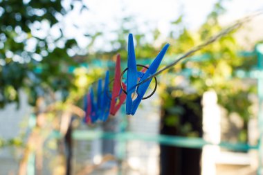 Bahçede bir tel üzerinde clothespins dönüştürün