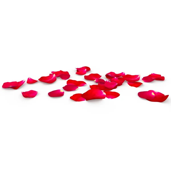 Bloemblaadjes van een rode roos liggend op de vloer — Stockfoto