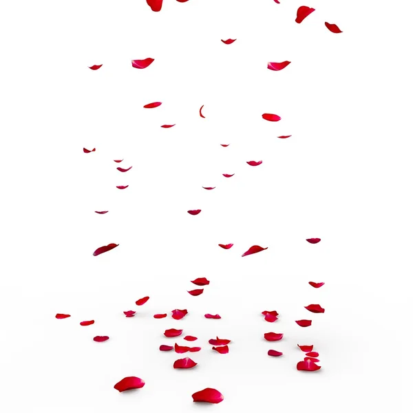 Red rose petals are flying to the floor — Stock Photo, Image