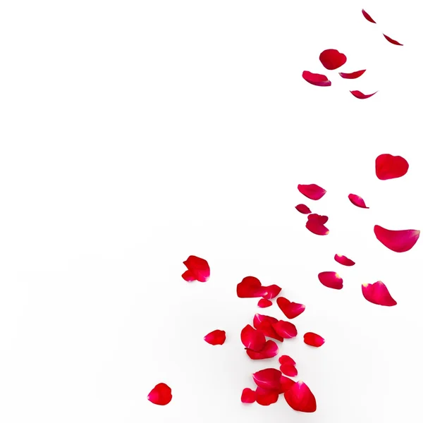 Červenou růží jsou létání na podlahu — Stock fotografie
