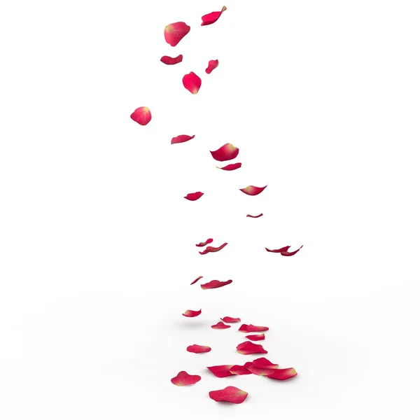 Pétales de rose tombent au sol — Photo