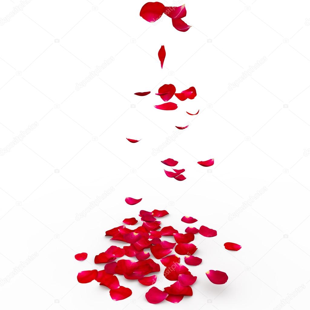 Red rose petals are flying to the floor