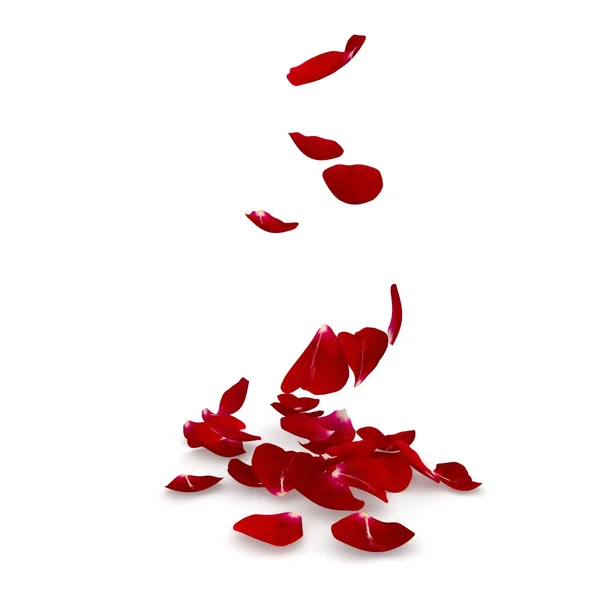 Petals dark red rose flying on the floor — Stock Photo, Image