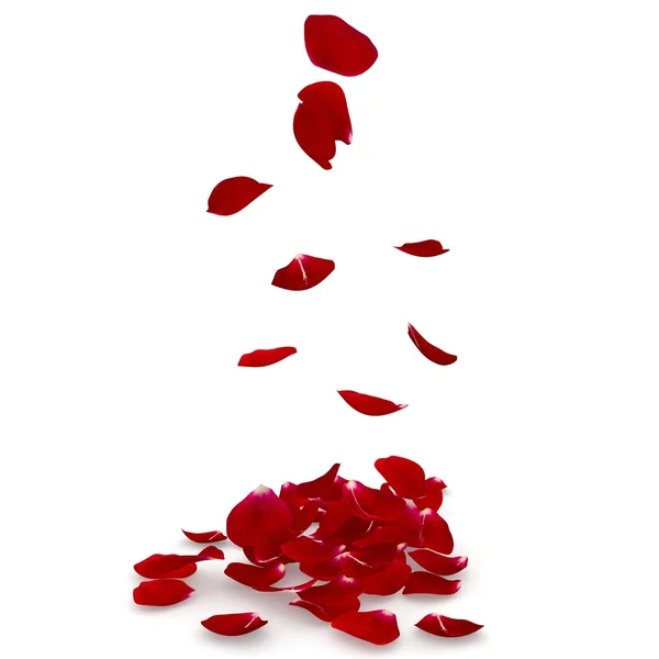 Petals dark red rose flying on the floor — Stock Photo, Image