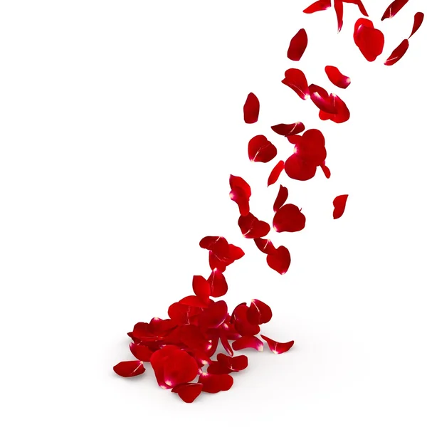 Лепестки красной розы летают по полу — стоковое фото