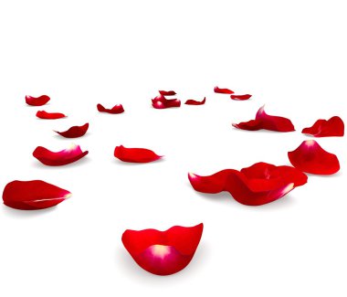 Kırmızı gül yaprakları yere saçılmış.