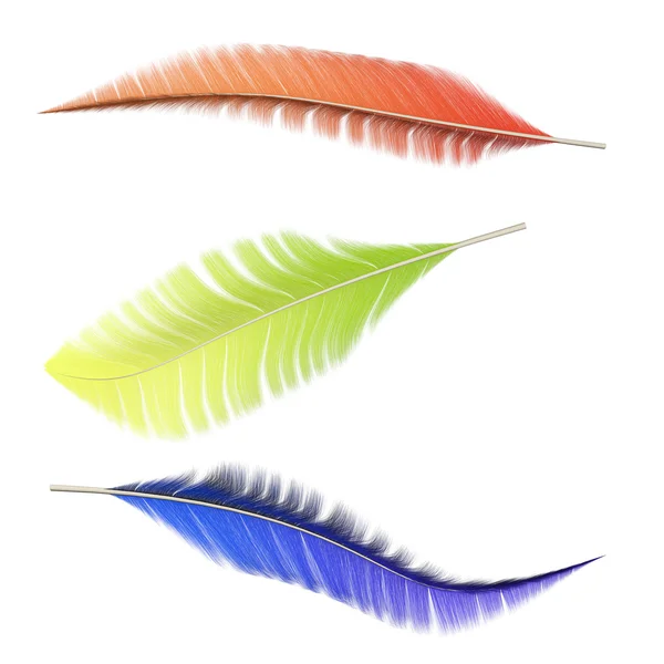 Kolekcja kolorowych piór ptaków — Zdjęcie stockowe