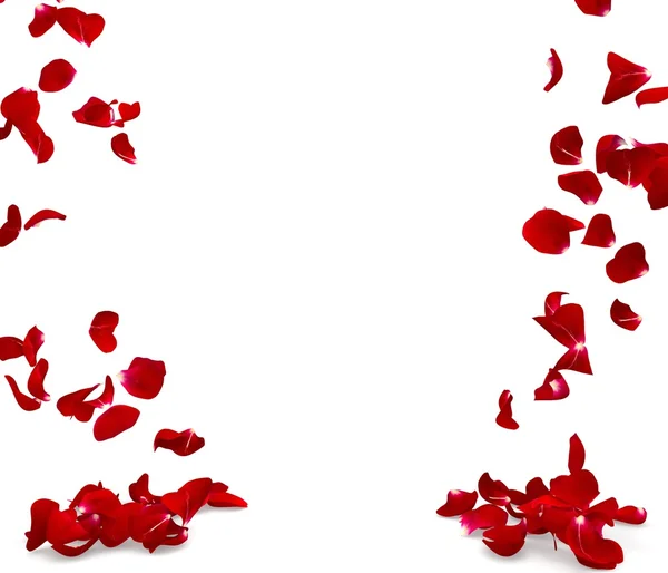 Rose petals fall to the floor — Stock Photo, Image