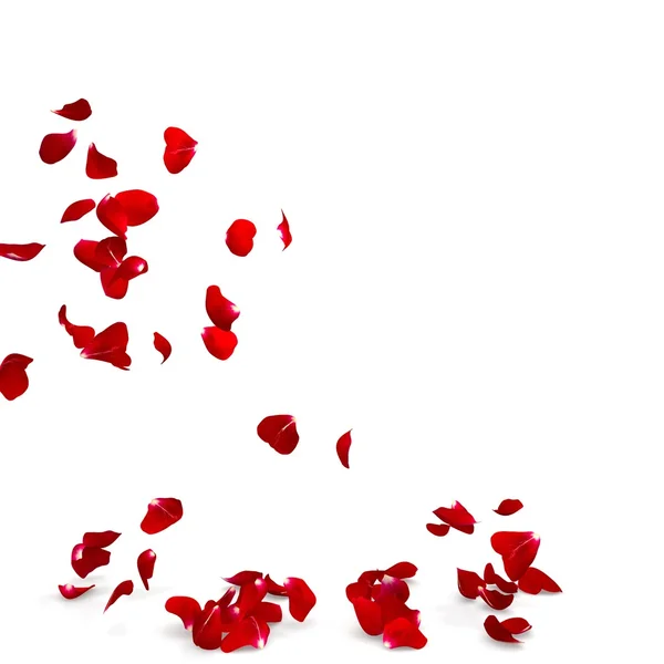 Rose petals fall to the floor — Stock Photo, Image