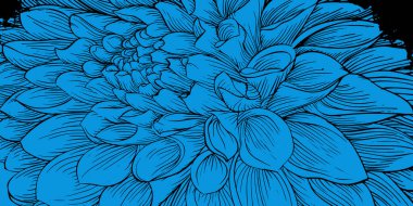 Kabuklu ve dalgalı arkaplan