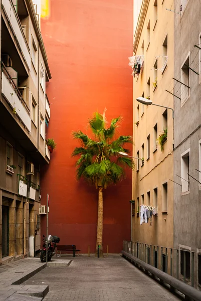 Building facades in Barcelona — Stock Photo, Image