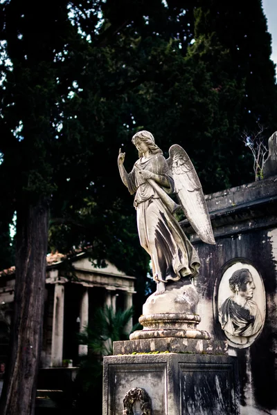 Vacker staty av angel — Stockfoto